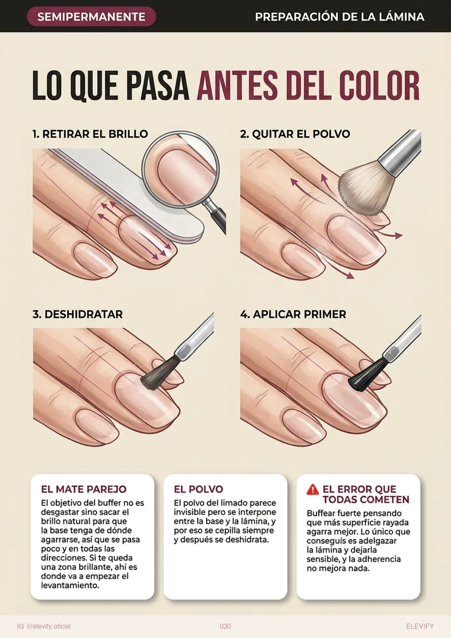 Preparación de la lámina